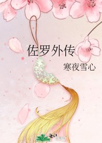 佐罗外传