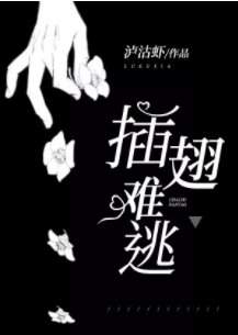 插翅难逃